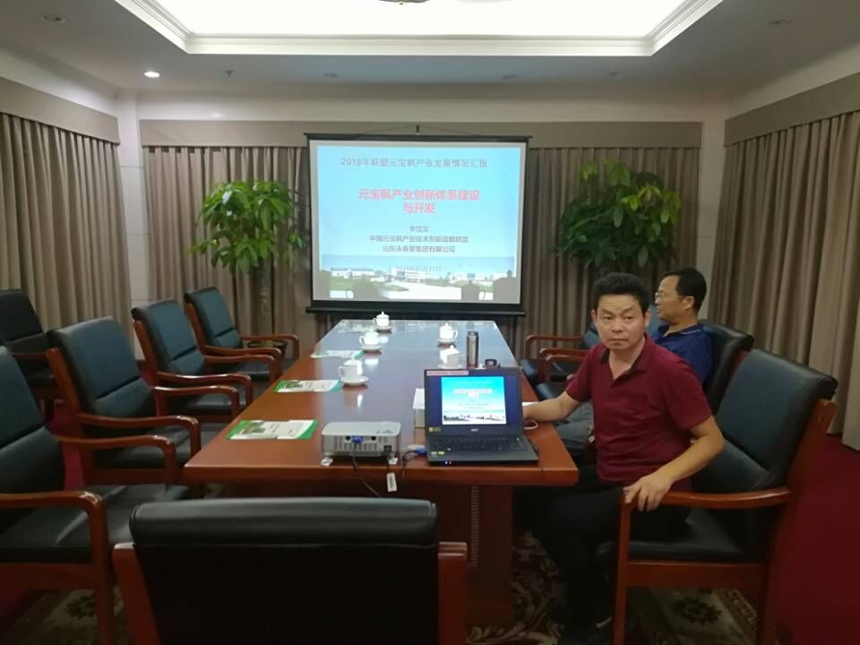 2018年(nian)7月20日(ri)向國(guo)傢(jia)林業跼(ju)領(ling)導(dao)彙報元寶楓産(chan)業情況